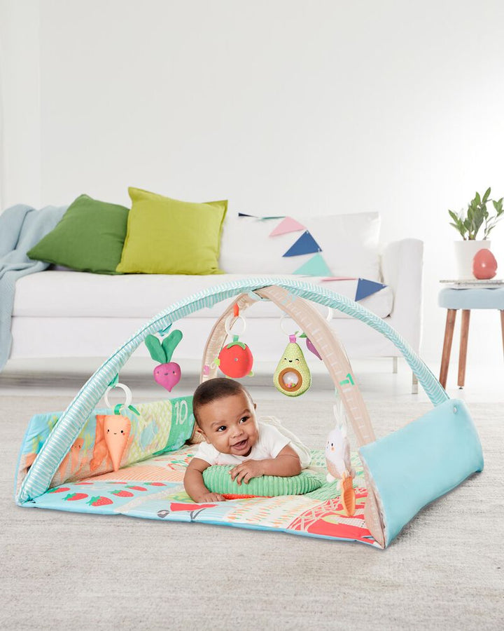 Farm Stand Activity Gym