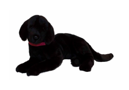 Best Friend Puppy