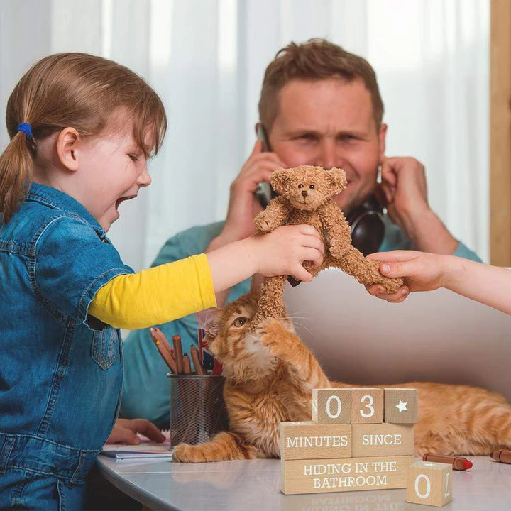 Whos Counting Parenting Blocks