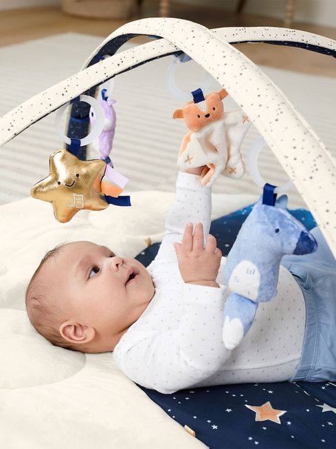 Celestial Dreams Activity Gym