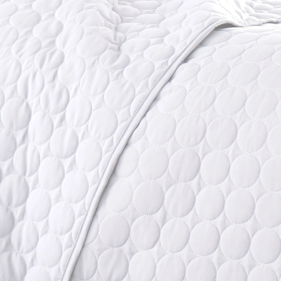 Circle Embroidered Quilt Set