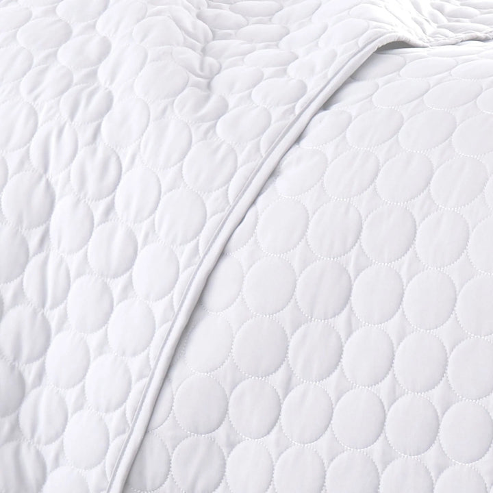 Circle Embroidered Quilt Set