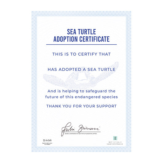 Adopt a Sea Turtle
