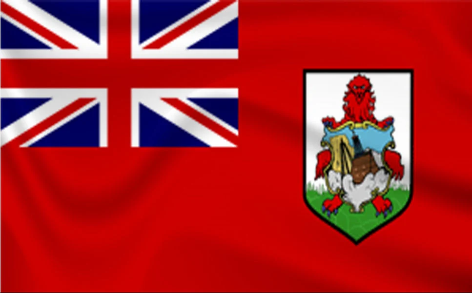 Flags Artwork
