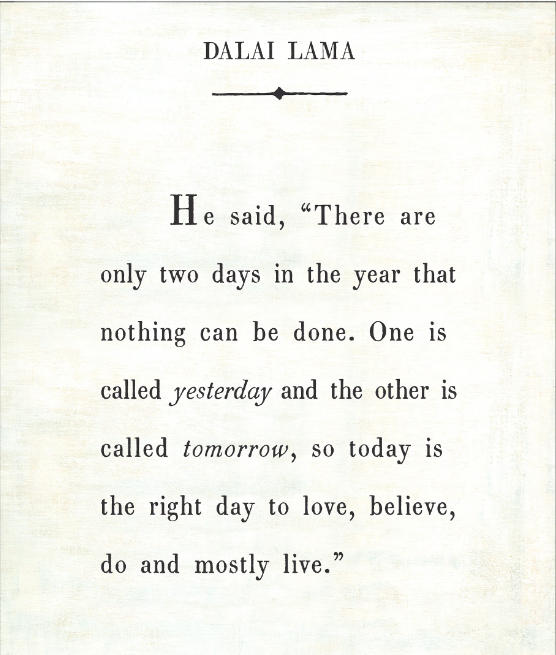 Dalai Lama Art Print - Gallery Wrap / White 17''x 25''