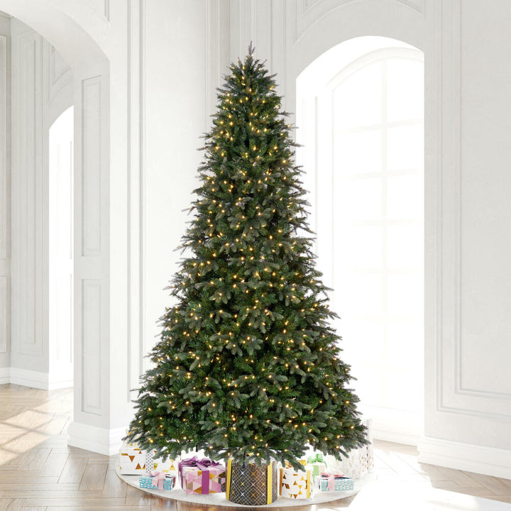 Douglas Fir Artificial Pre-Lit Tree, 12'