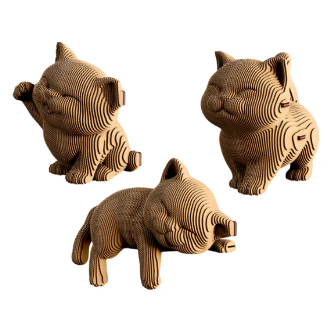 Cartonic KITTENS TRIO