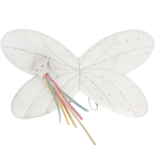 Fairy Wings and Star Magic Wand Dress Up Set