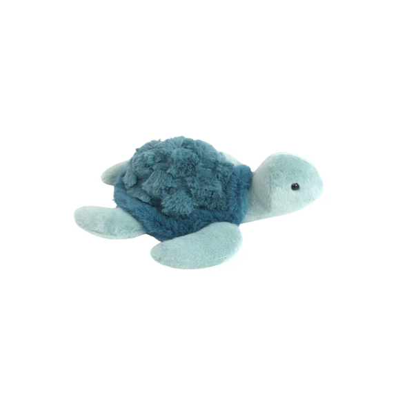 Jet Turtle