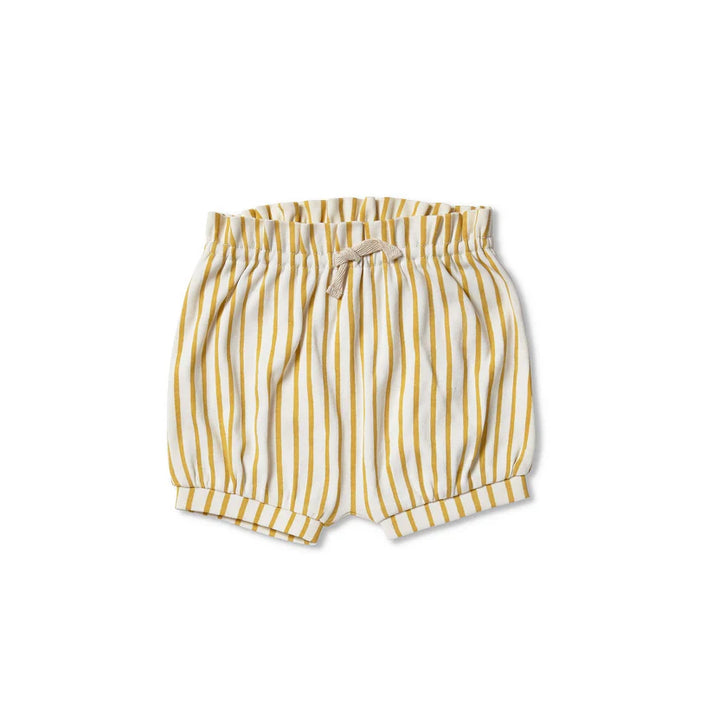 Stripes Away Bloomer