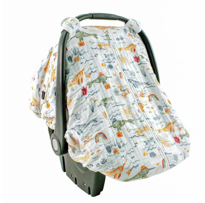 Car Seat Cover