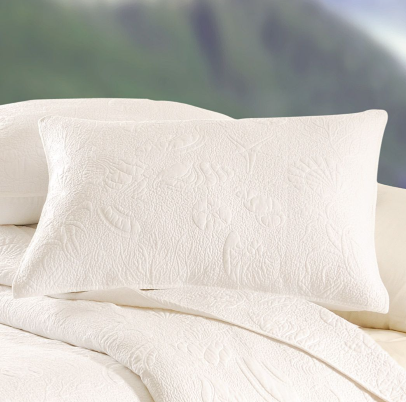 Shell Matelasse Sham