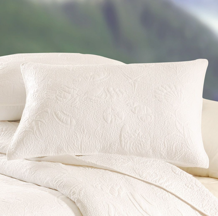 Shell Matelasse Sham
