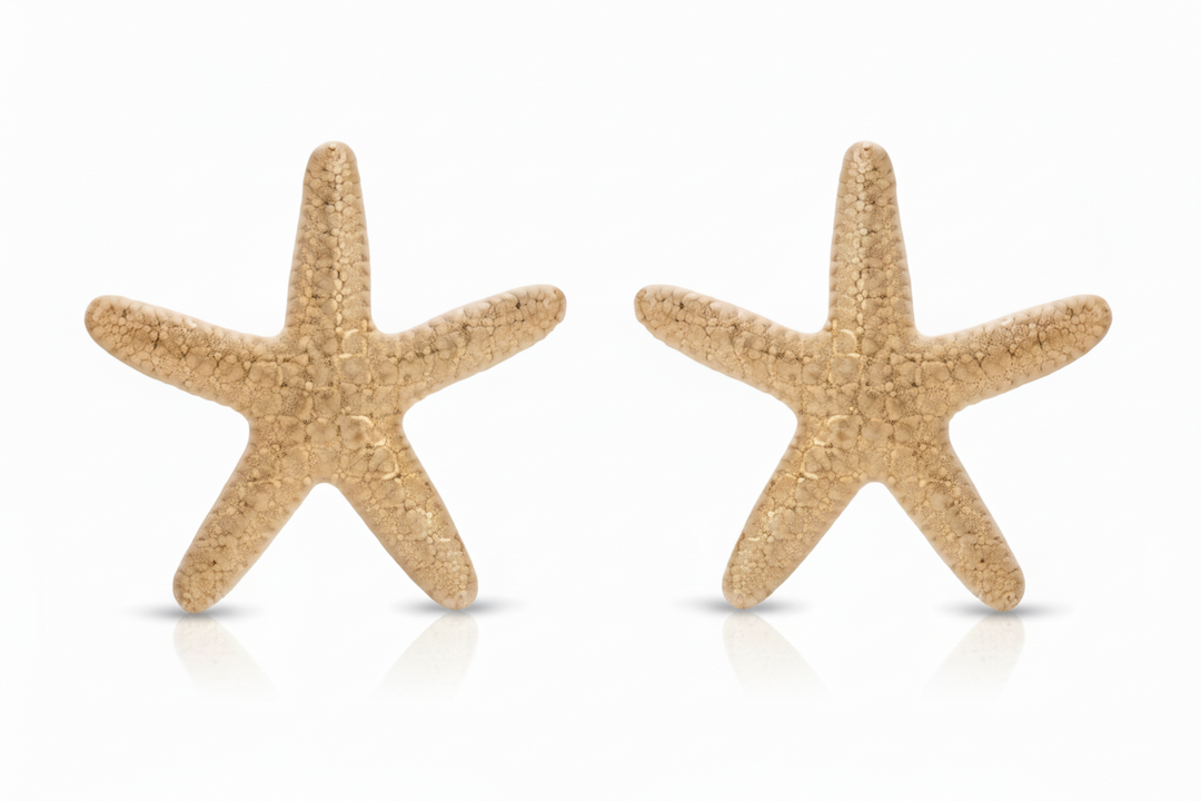 Statement Starfish Stud 18K Earrings