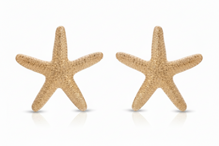 Statement Starfish Stud 18K Earrings