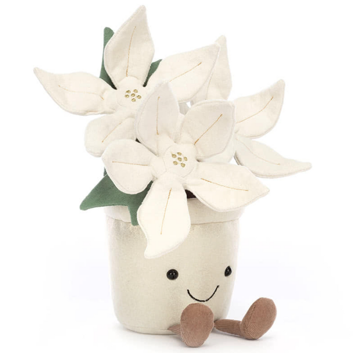 Amuseable Gold Poinsettia
