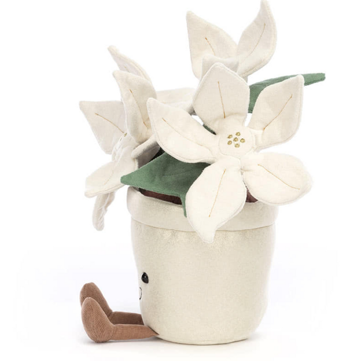 Amuseable Gold Poinsettia