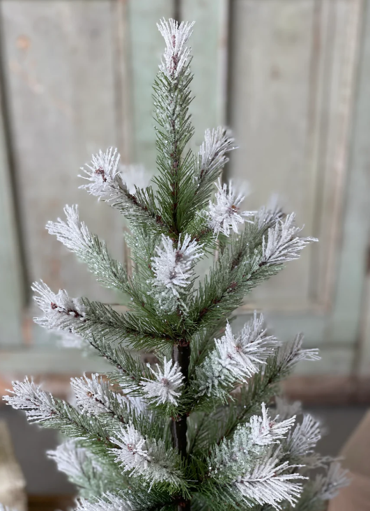 Frost Fade Pine Tree, 4' and 5'