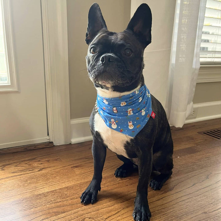 Snow Much Fun Dog Bandana