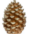Pine Cone Table Top Ornament
