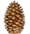 Pine Cone Table Top Ornament
