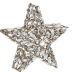 Glitter Rhinestone Ornament