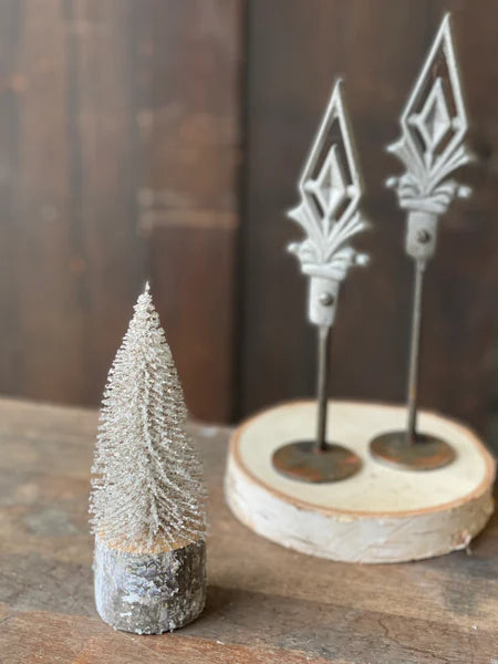 Iced Foxtail Pine Tree