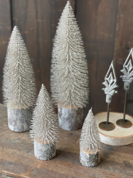 Iced Foxtail Pine Tree