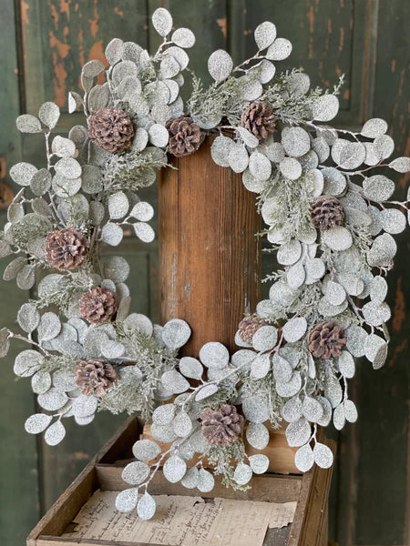 Wreath Silverdollar Shine 22"