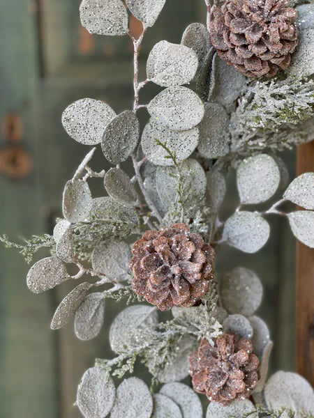 Wreath Silverdollar Shine 22"