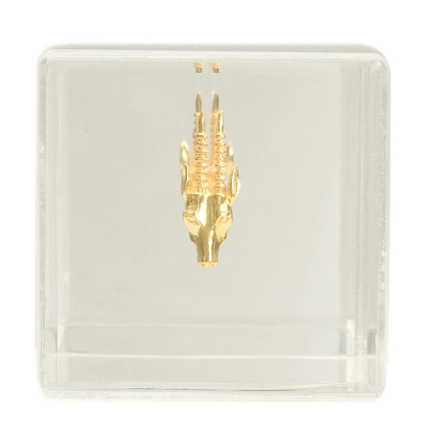 Antilope cube