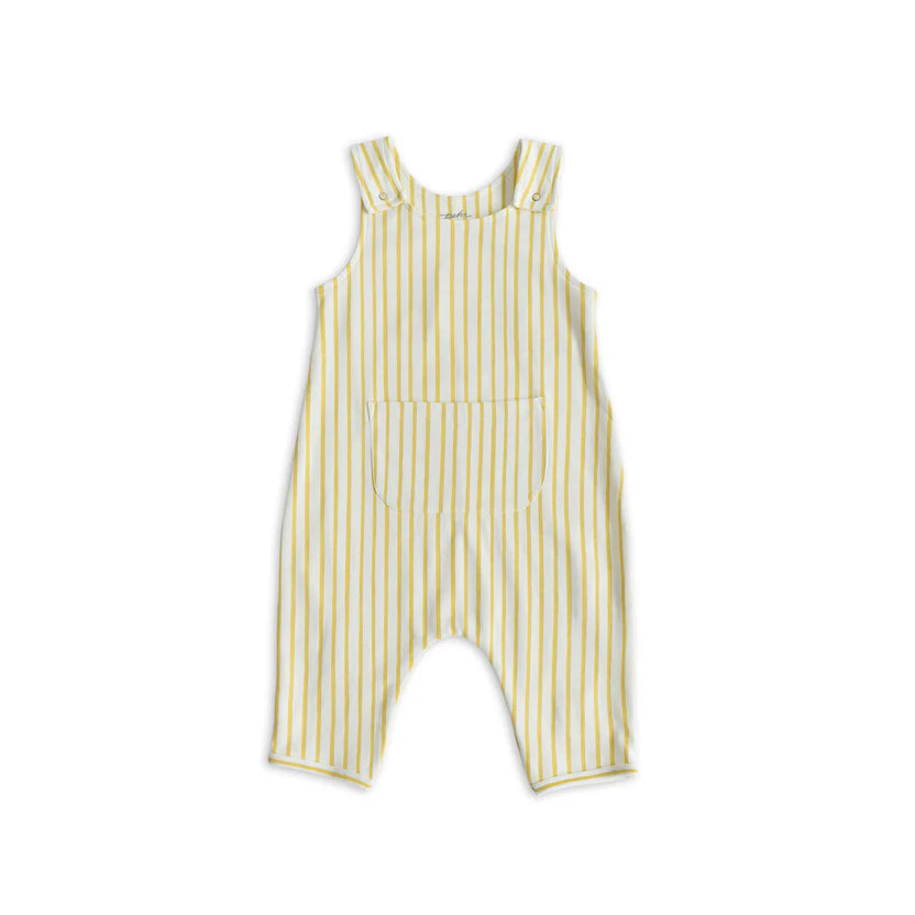 Stripes Overall