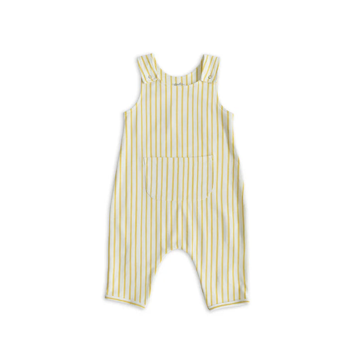 Stripes Overall