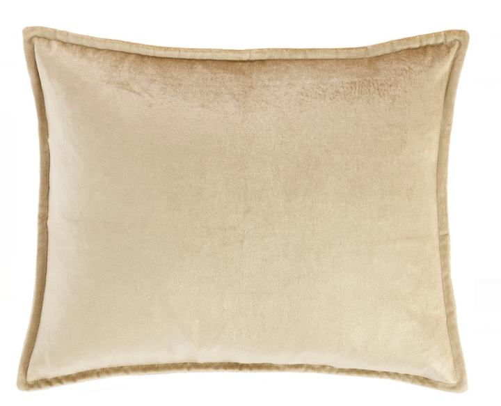 Panne Velvet Decorative Pillow