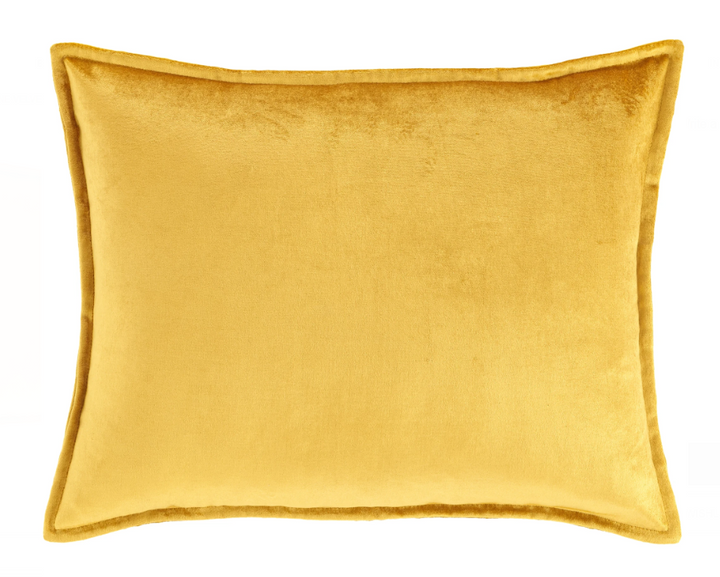 Panne Velvet Decorative Pillow