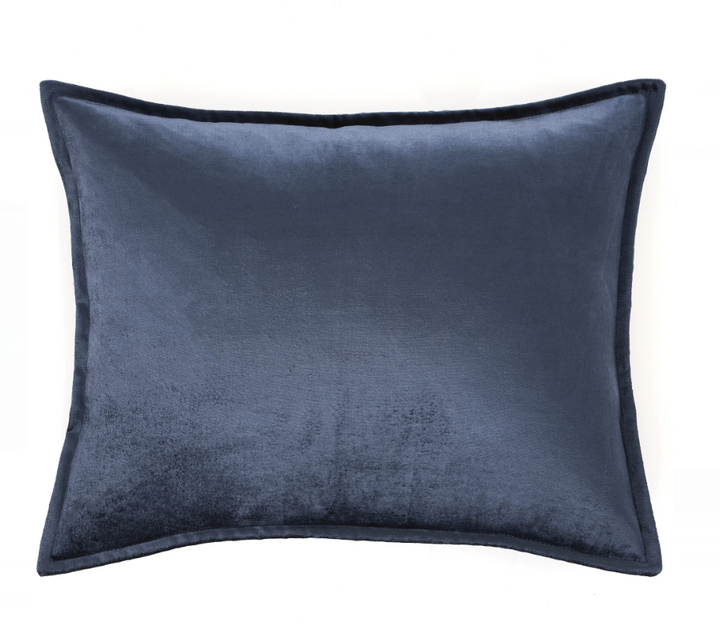 Panne Velvet Decorative Pillow