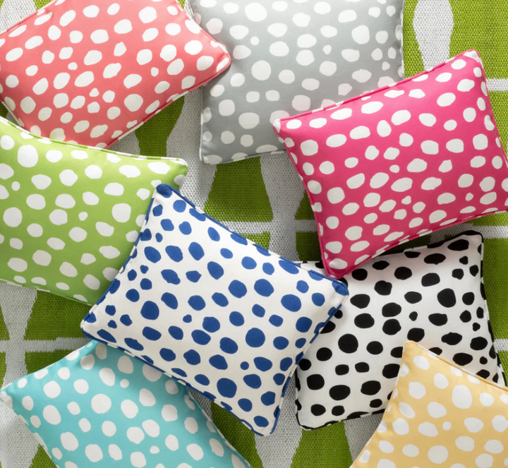 Spot On Indoor/Outdoor Decorative Pillow Cover