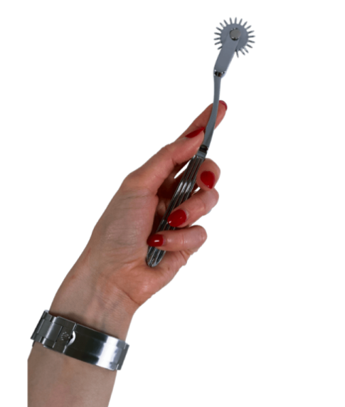 Terra- The Ultimate BDSM Pinwheel and Wartenberg Wheel