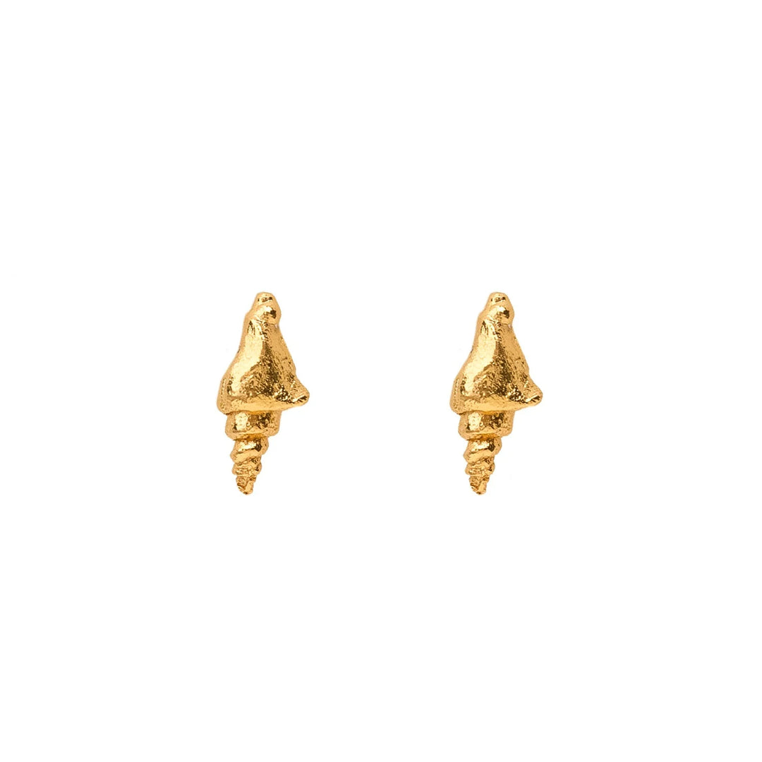 Shell Lacon Earrings