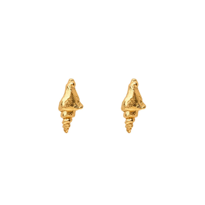 Shell Lacon Earrings