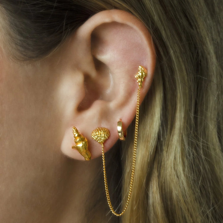 Shell Lacon Earrings